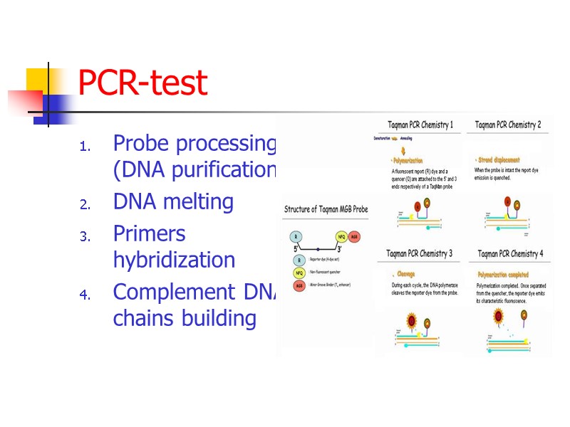 PCR-test Probe processing (DNA purification) DNA melting Primers hybridization Complement DNA chains building